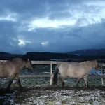 U Potoka 롯지 Javorná