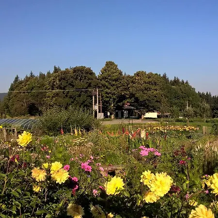 Gerendaház Na Bucharu Javorná