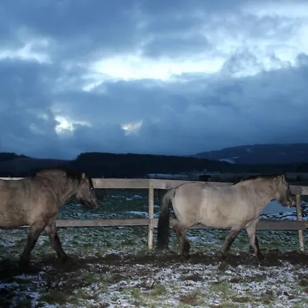 Na Bucharu Gerendaház Javorná