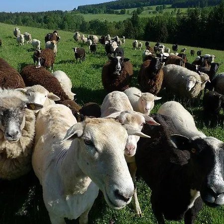 Na Bucharu Gerendaház